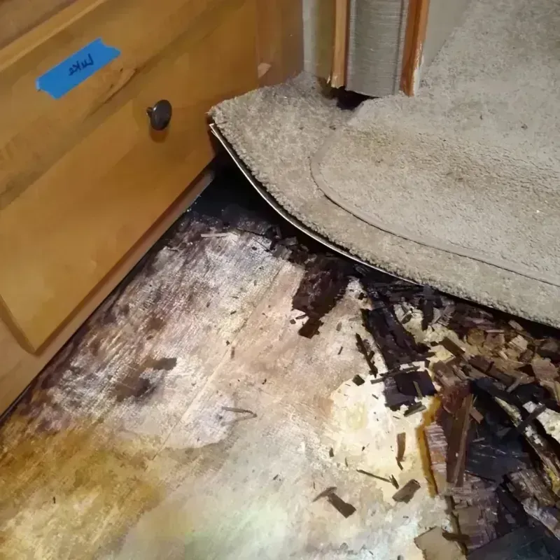 Wood Floor Water Damage in Laurel Park, NC